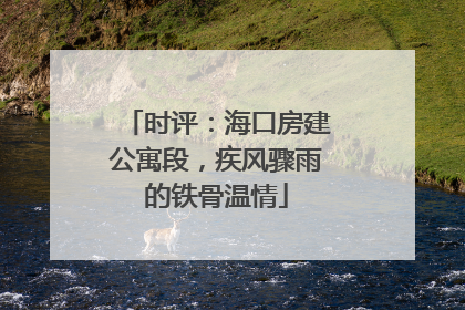 时评：海口房建公寓段，疾风骤雨的铁骨温情