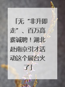 无“非升即走”、百万高薪诚聘！湖北赴南京引才活动这个展台火了