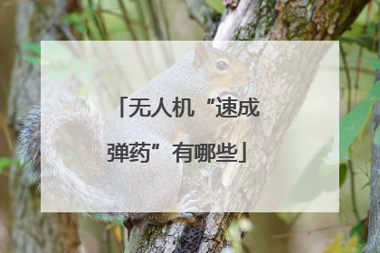 无人机“速成弹药”有哪些