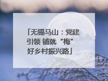 无锡马山：党建引领 铺就“梅”好乡村振兴路