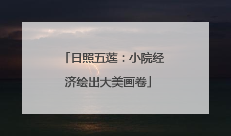 日照五莲：小院经济绘出大美画卷