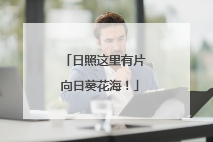 日照这里有片向日葵花海！