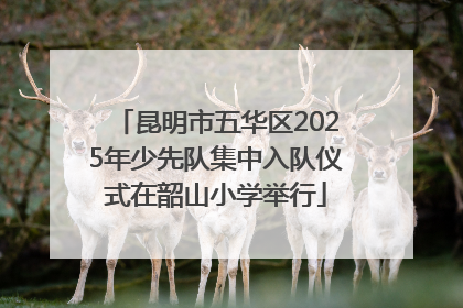 昆明市五华区2025年少先队集中入队仪式在韶山小学举行