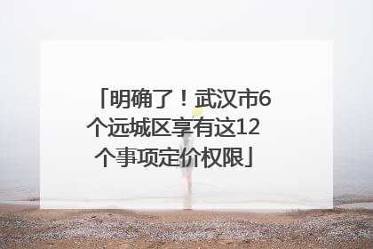 明确了！武汉市6个远城区享有这12个事项定价权限