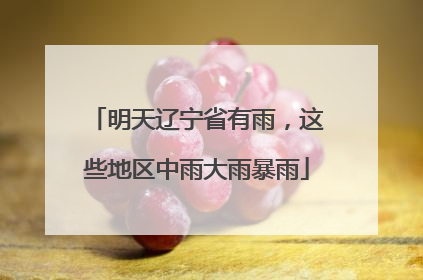 明天辽宁省有雨，这些地区中雨大雨暴雨