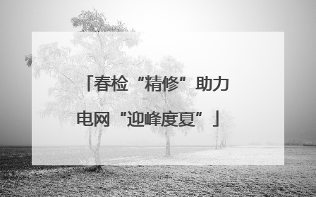 春检“精修”助力电网“迎峰度夏”