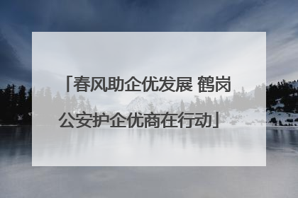 春风助企优发展 鹤岗公安护企优商在行动