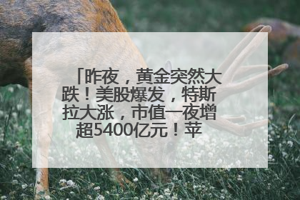 昨夜，黄金突然大跌！美股爆发，特斯拉大涨，市值一夜增超5400亿元！苹果传来大消息
