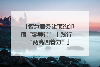 智慧服务让预约卸粮“零等待”丨践行“两高四着力”