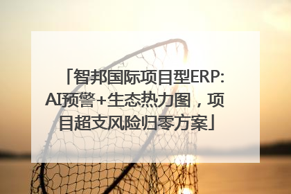 智邦国际项目型ERP:AI预警+生态热力图，项目超支风险归零方案