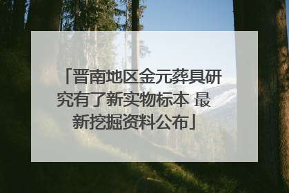 晋南地区金元葬具研究有了新实物标本 最新挖掘资料公布