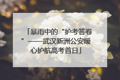暴雨中的“护考答卷”——武汉新洲公安暖心护航高考首日