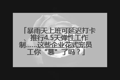 暴雨天上班可延迟打卡、推行4.5天弹性工作制……这些企业花式宠员工你“慕”了吗？