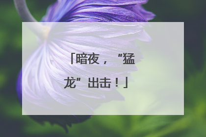 暗夜，“猛龙”出击！