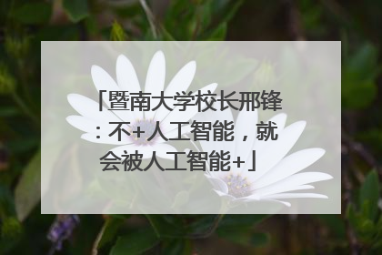 暨南大学校长邢锋：不+人工智能，就会被人工智能+