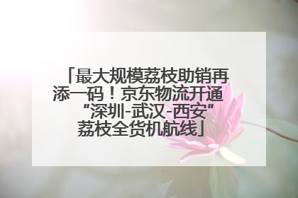 最大规模荔枝助销再添一码！京东物流开通“深圳-武汉-西安” 荔枝全货机航线