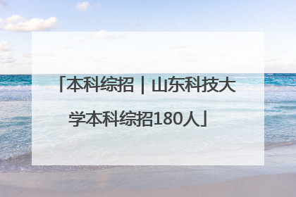 本科综招｜山东科技大学本科综招180人