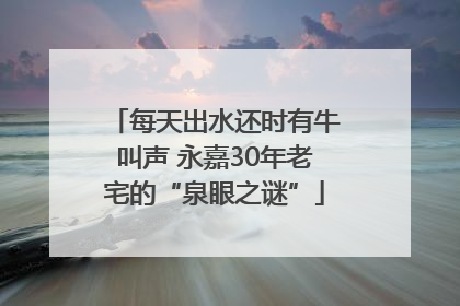 每天出水还时有牛叫声 永嘉30年老宅的“泉眼之谜”