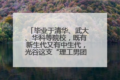 毕业于清华、武大、华科等院校，既有新生代又有中生代，光谷这支“理工男团”为何“出道”？