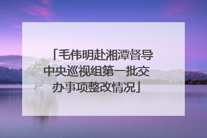 毛伟明赴湘潭督导中央巡视组第一批交办事项整改情况