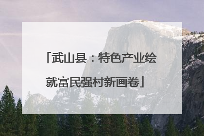武山县：特色产业绘就富民强村新画卷