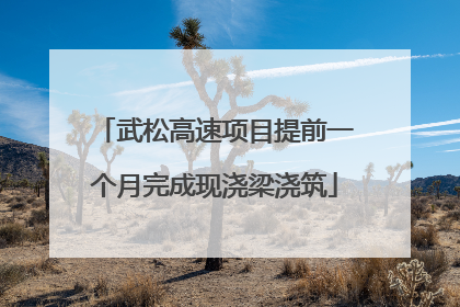 武松高速项目提前一个月完成现浇梁浇筑