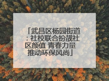 武昌区杨园街道：社校联合扮靓社区颜值 青春力量推动环保风尚