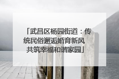 武昌区杨园街道：传统民俗邂逅婚育新风 共筑幸福和谐家园