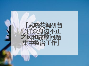 武晓花调研督导群众身边不正之风和腐败问题集中整治工作