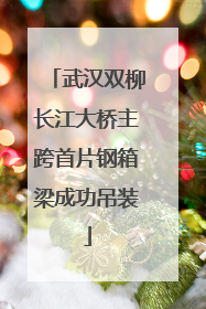 武汉双柳长江大桥主跨首片钢箱梁成功吊装