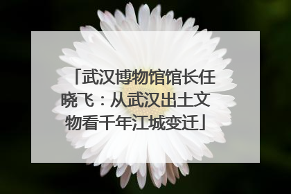 武汉博物馆馆长任晓飞：从武汉出土文物看千年江城变迁