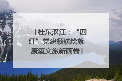 桂东沤江：“四红”党建领航绘就康氧文旅新画卷