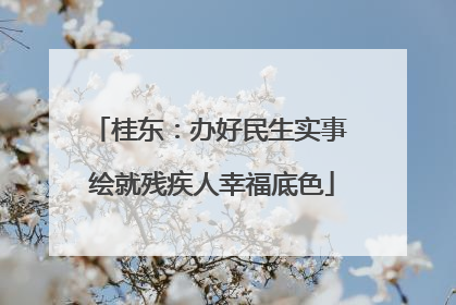 桂东：办好民生实事 绘就残疾人幸福底色