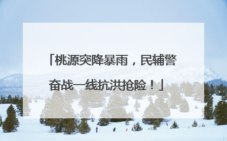 桃源突降暴雨，民辅警奋战一线抗洪抢险！