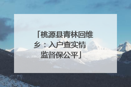 桃源县青林回维乡：入户查实情 监督保公平