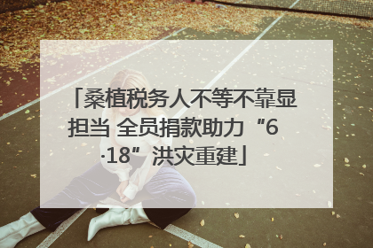 桑植税务人不等不靠显担当 全员捐款助力“6·18”洪灾重建