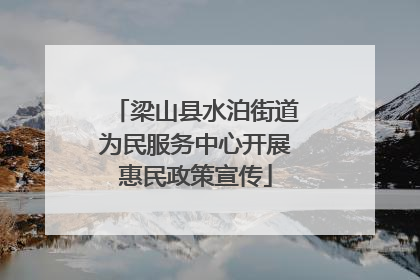 梁山县水泊街道为民服务中心开展惠民政策宣传