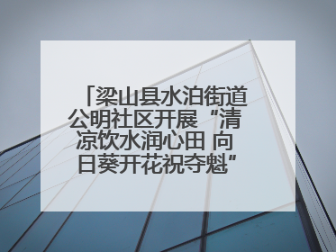 梁山县水泊街道公明社区开展“清凉饮水润心田 向日葵开花祝夺魁”助考活动
