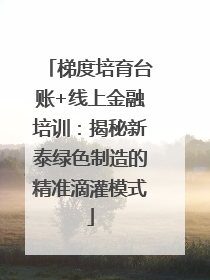 梯度培育台账+线上金融培训：揭秘新泰绿色制造的精准滴灌模式
