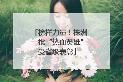 榜样力量！株洲一批“热血英雄”受省级表彰