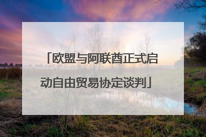 欧盟与阿联酋正式启动自由贸易协定谈判