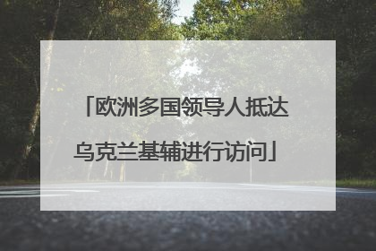 欧洲多国领导人抵达乌克兰基辅进行访问