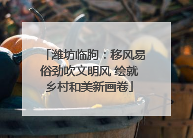 潍坊临朐：移风易俗劲吹文明风 绘就乡村和美新画卷