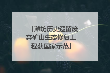 潍坊历史遗留废弃矿山生态修复工程获国家示范