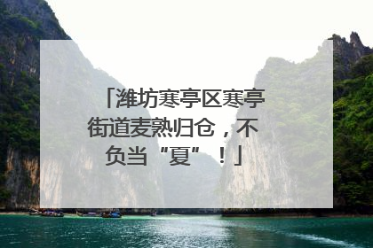 潍坊寒亭区寒亭街道麦熟归仓，不负当“夏”！