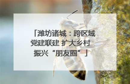 潍坊诸城：跨区域党建联建 扩大乡村振兴“朋友圈”