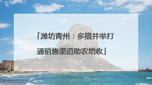 潍坊青州：多措并举打通销售渠道助农增收