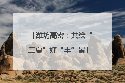 潍坊高密：共绘“三夏”好“丰”景