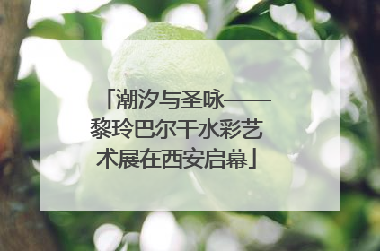 潮汐与圣咏——黎玲巴尔干水彩艺术展在西安启幕