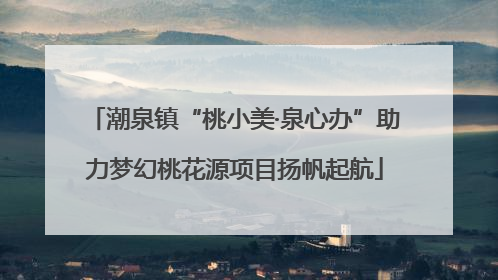 潮泉镇“桃小美·泉心办”助力梦幻桃花源项目扬帆起航